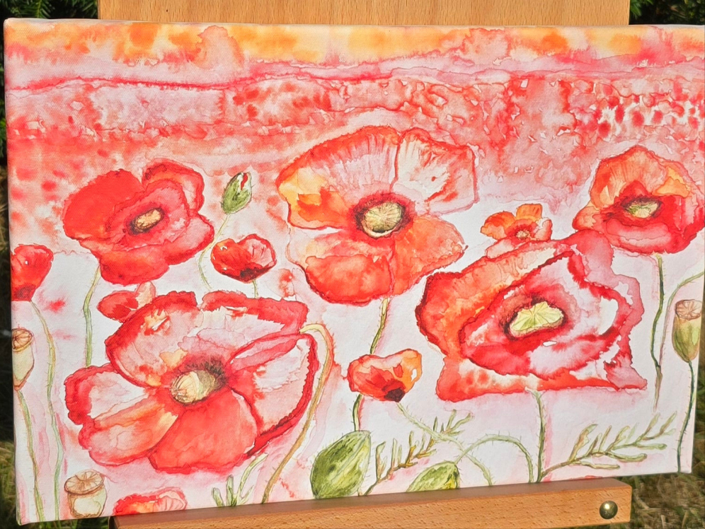 Kunstdruck Mohnblumenfeld auf Leinwand 45x30 cm (Druck)