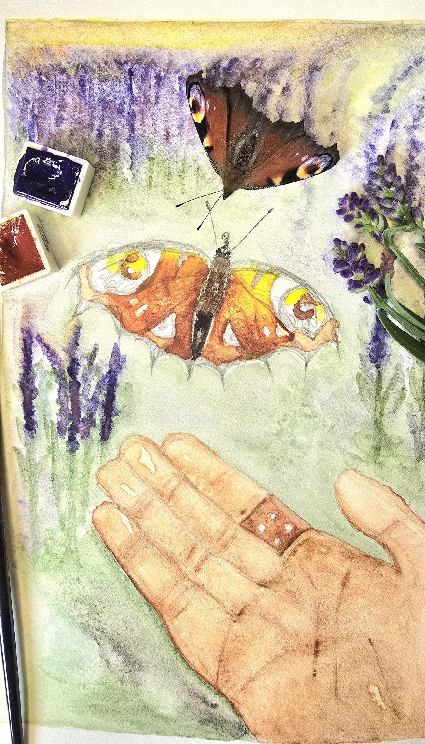 Sei frei, kleiner Schmetterling 🦋 (Original-Gemälde)